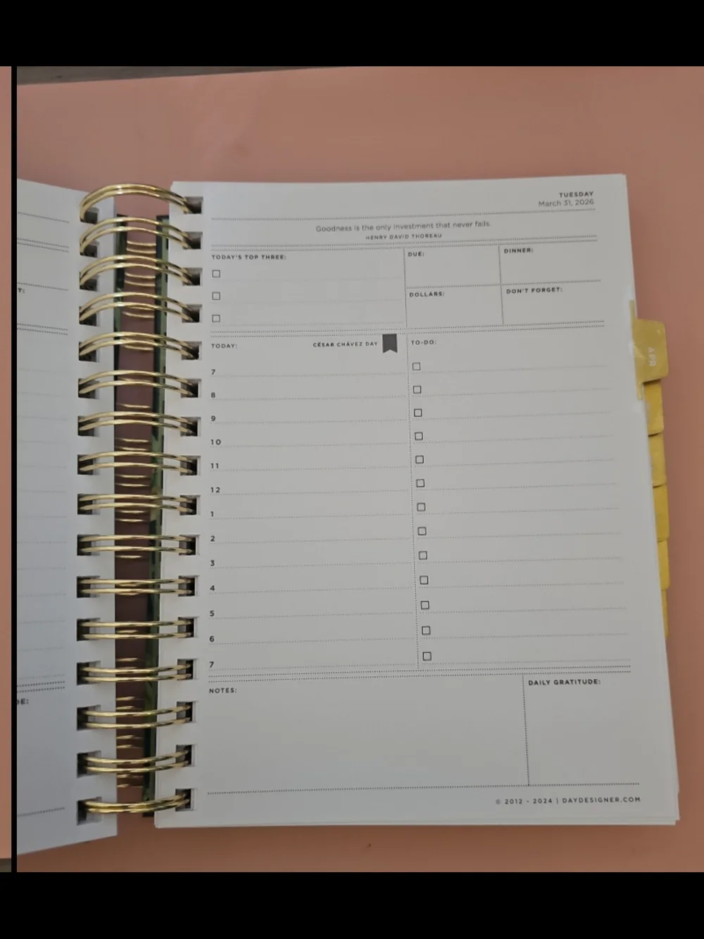 NIB Day Designer Planner
